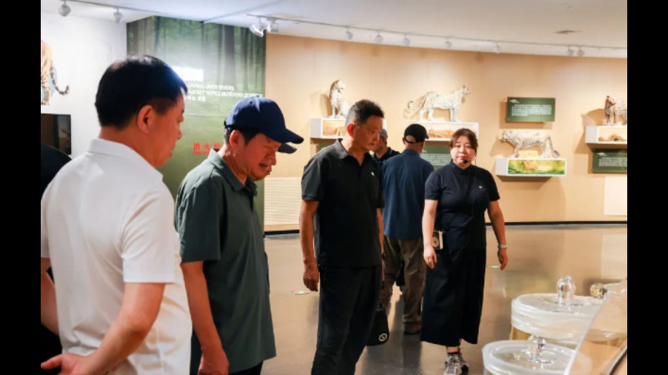 吉林珲春法院：情暖桑榆敬老心 守护生态践初心
