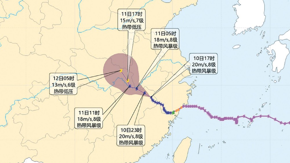 山东全力防范应对“白海豚”