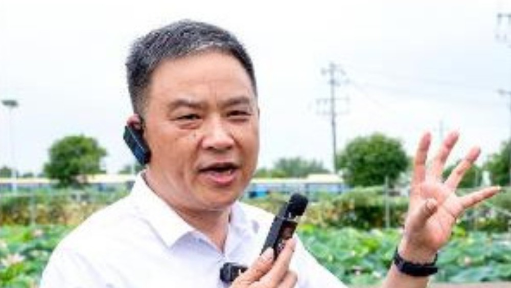 从田埂上走出的“较真”代表