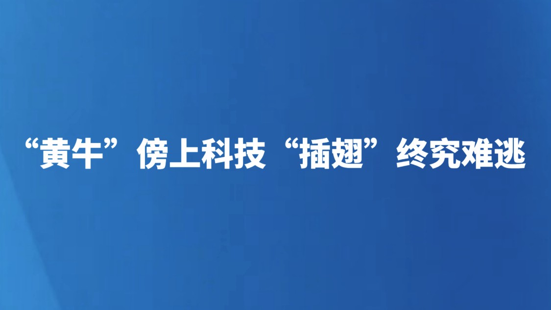 “黄牛”傍上科技 “插翅”终究难逃