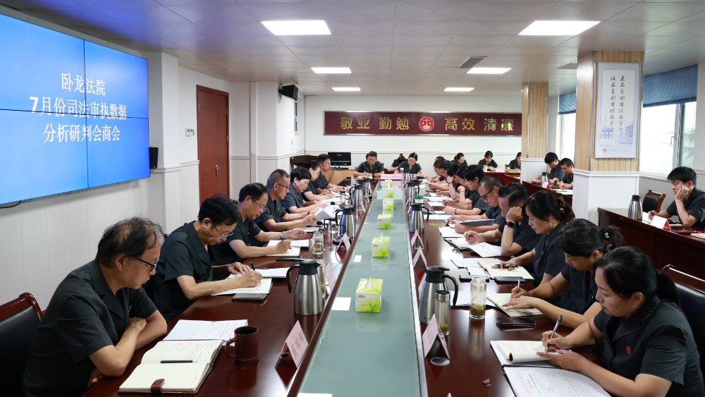 河南省南阳市卧龙区法院召开7月份司法审执数据分析研判会商会