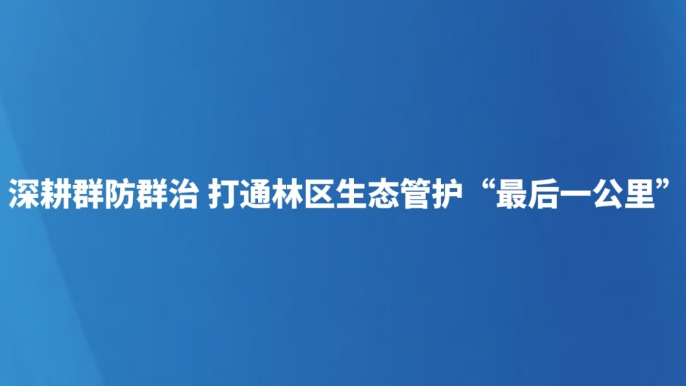 深耕群防群治 打通林区生态管护“最后一公里”