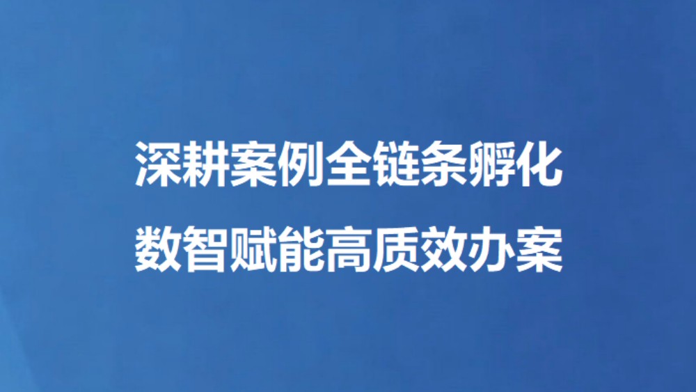 深耕案例全链条孵化 数智赋能高质效办案