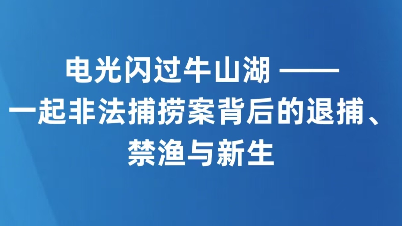 电光闪过牛山湖 ——一起非法捕捞案背后的退捕、禁渔与新生