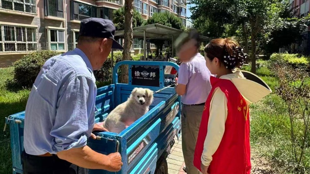 青铜峡市东街社区：聚力治犬破除扰民顽疾 靶向清乱涤净公共空间