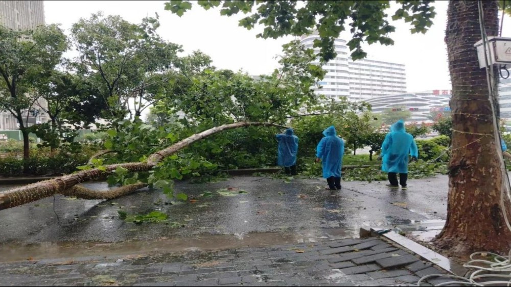 未雨绸缪筑防线 闻汛而动保平安——河南省南阳市宛城区扎实筑牢汛期安全防护网