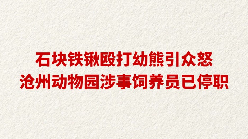 石块铁锹殴打幼熊引众怒！沧州动物园涉事饲养员已停职