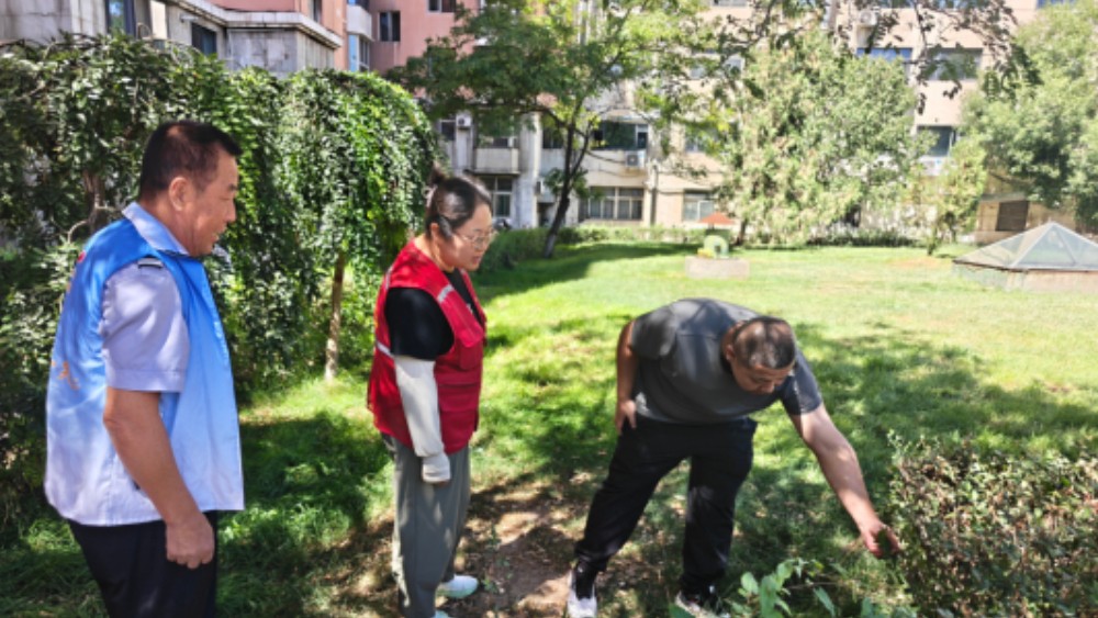 银川市兴庆区永康社区：全域踏查清隐患 源头防控筑防线