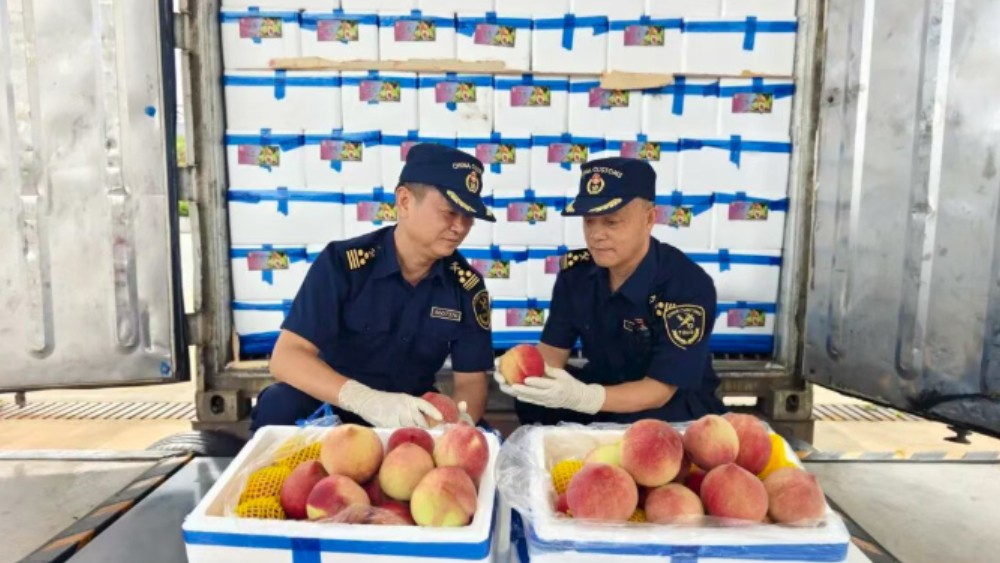 云南干鲜瓜果畅销东南亚多国