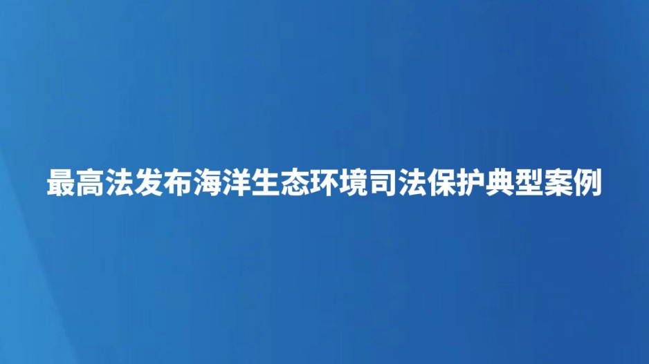 最高法发布海洋生态环境司法保护典型案例