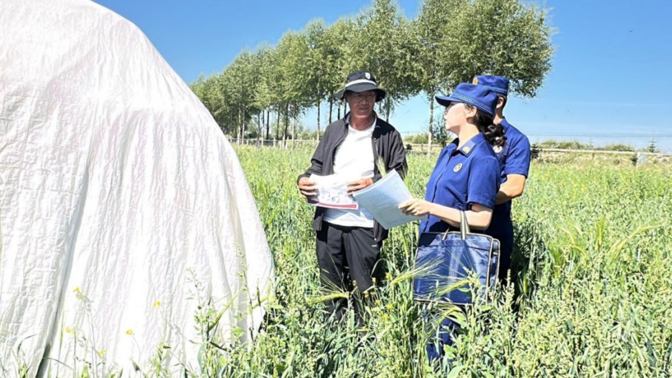 “火焰蓝”守护“牧草香”——过马营消防救援站打通草原消防“最后一公里”