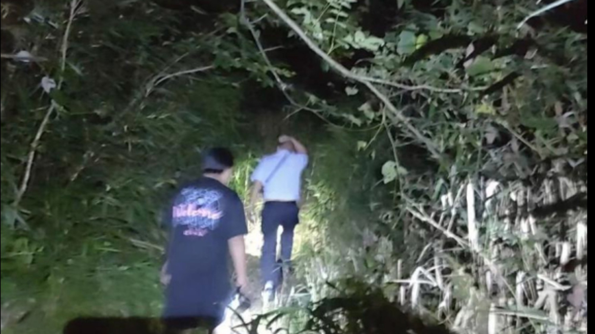 四川乐山：八旬婆婆峨眉山迷路失联，警方联动多支力量成功搜救