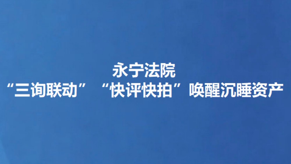 永宁法院“三询联动”“快评快拍”唤醒沉睡资产