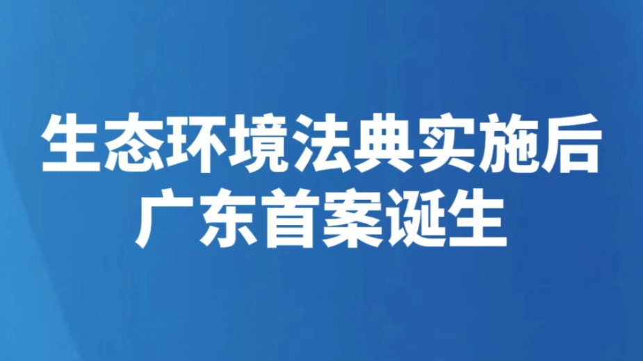 生态环境法典实施后广东首案诞生
