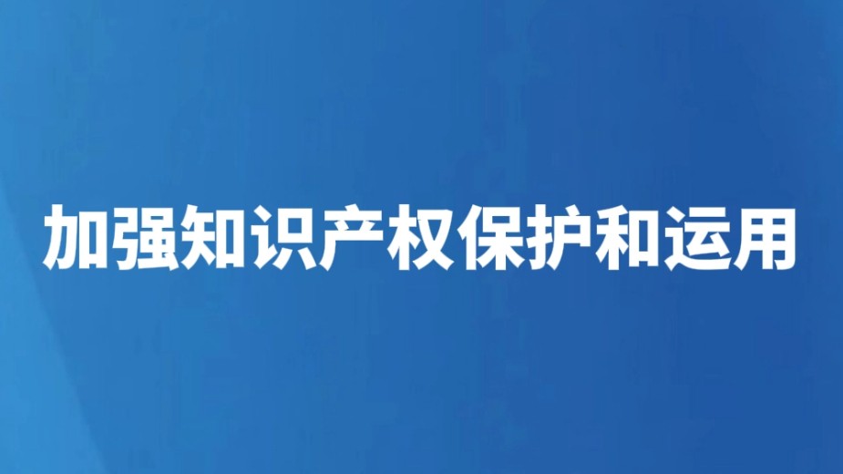 加强知识产权保护和运用