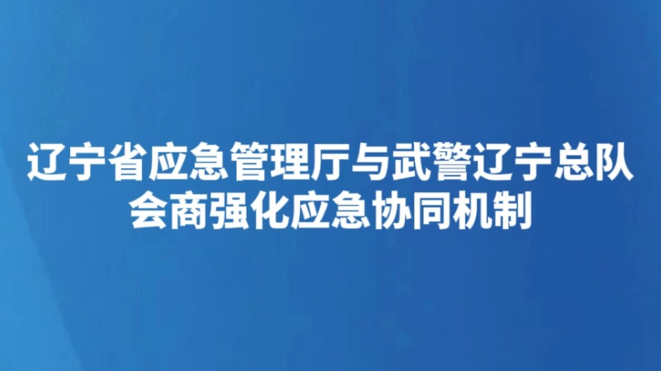 辽宁省应急管理厅与武警辽宁总队会商强化应急协同机制