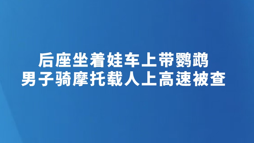 后座坐着娃车上带鹦鹉 男子骑摩托载人上高速被查