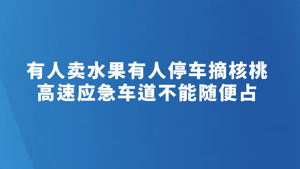 有人卖水果有人停车摘核桃 高速应急车道不能随便占