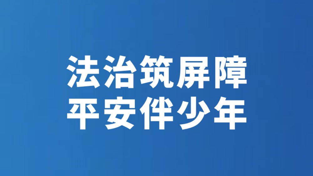 法治筑屏障 平安伴少年