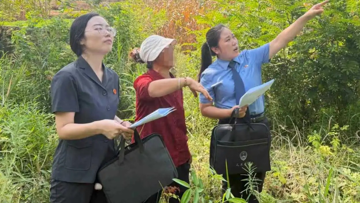 绵阳三台检察：检法携手深入山林 把脉生态修复“后半程”