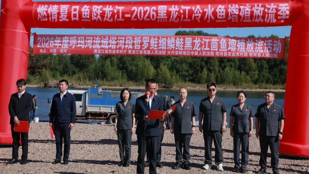 多级联动增殖放流 塔河县人民检察院守护水域生态安全