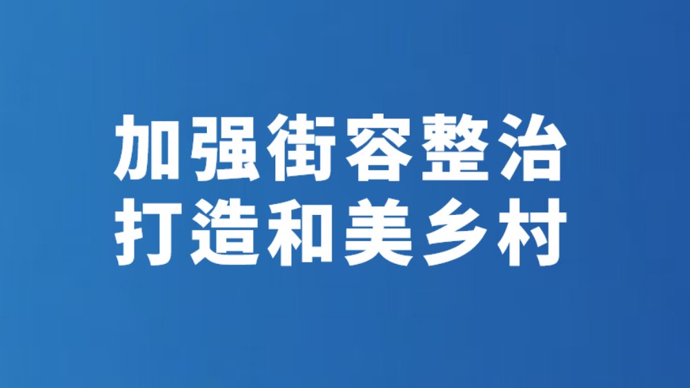 加强街容整治 打造和美乡村