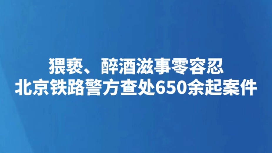 猥亵、醉酒滋事零容忍 北京铁路警方查处650余起案件