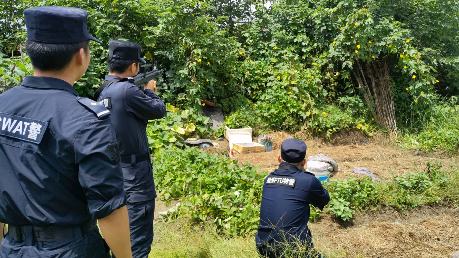疯牛撞破牛栏四处乱窜 鹰潭市公安局高新分局妥善处置消除安全隐患