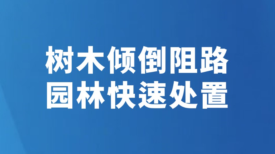 树木倾倒阻路 园林快速处置