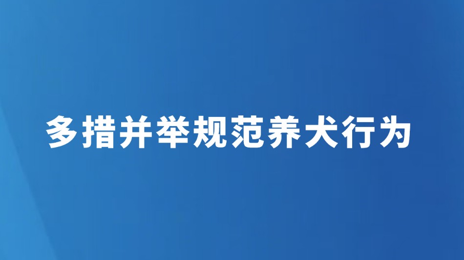 多措并举规范养犬行为