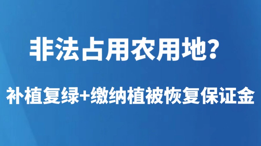 非法占用农用地？补植复绿+缴纳植被恢复保证金