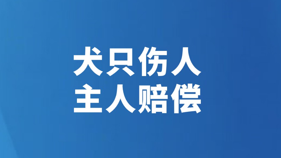 犬只伤人 主人赔偿