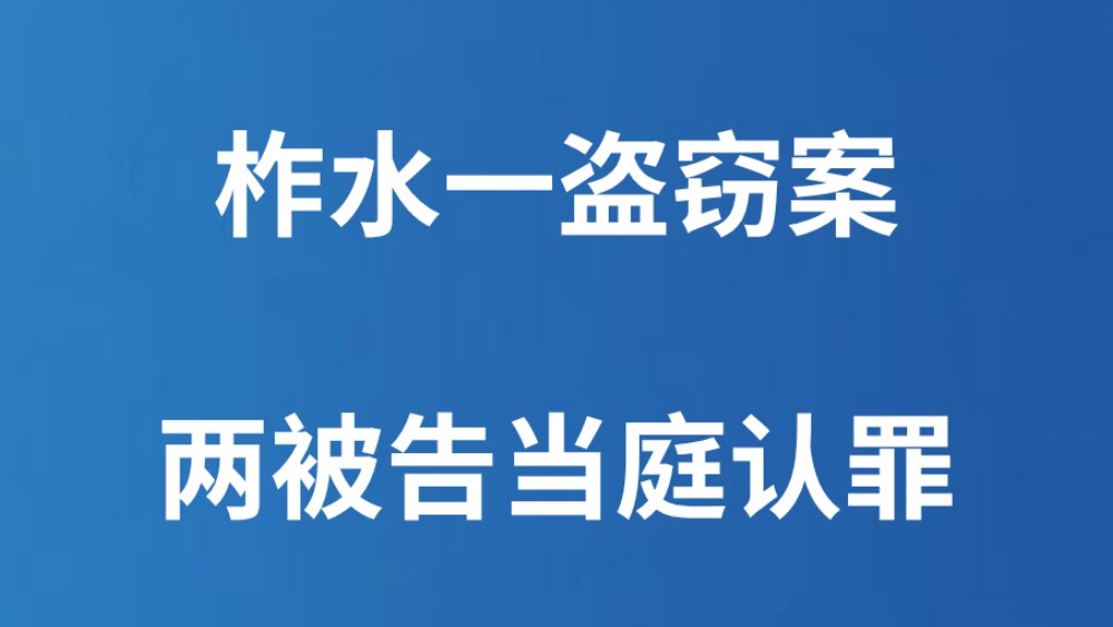 柞水一盗窃案两被告当庭认罪