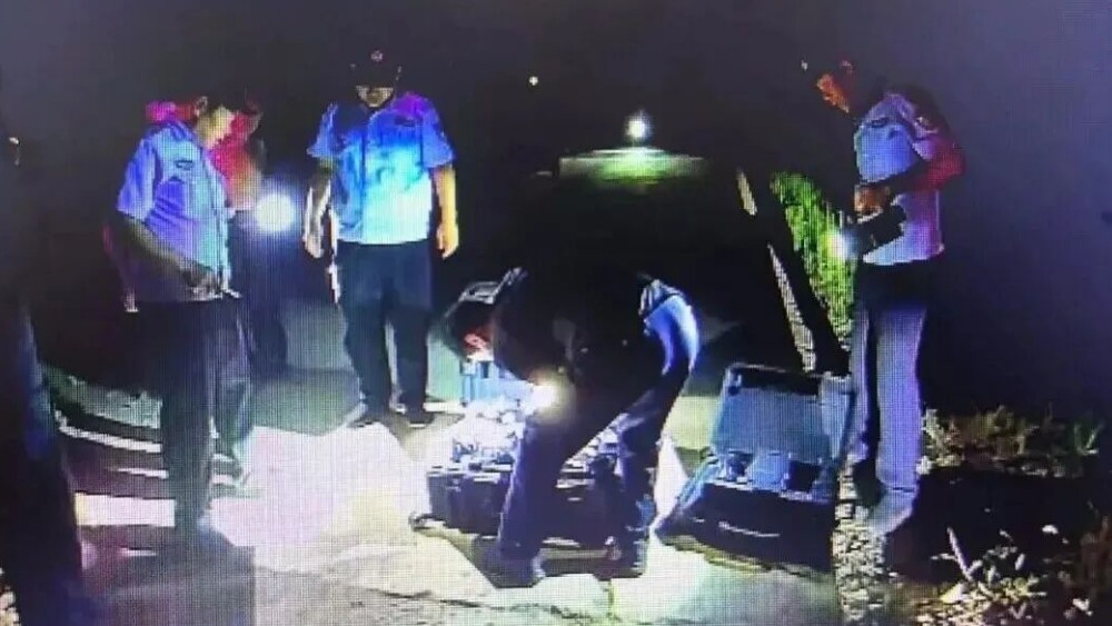 60只羊深夜“越狱”！济南章丘警民联动上演“寻羊追击战”