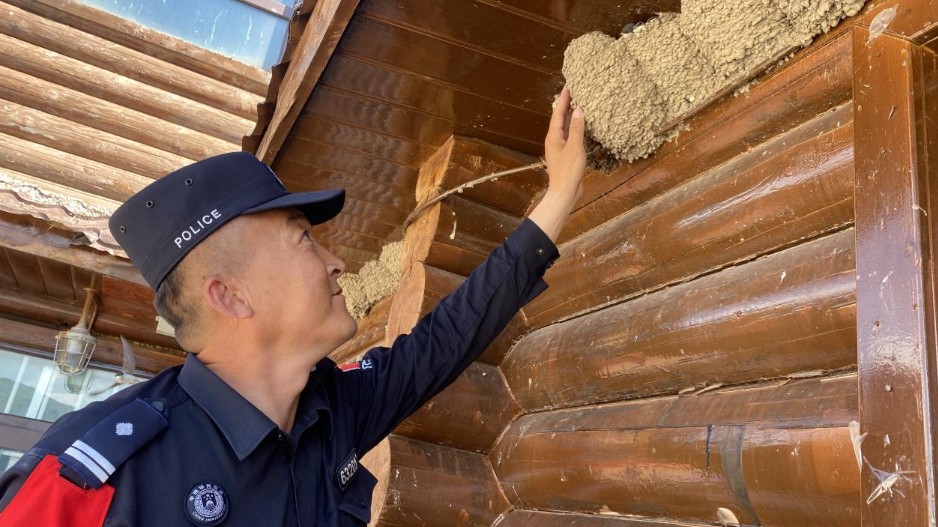 深耕生态警务 守护北疆青绿