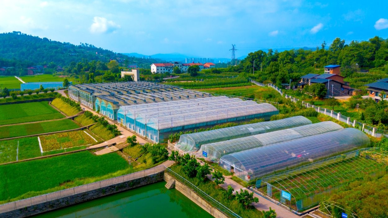 达州市农科院北斗试验基地：深耕种业创新 赋能现代农业