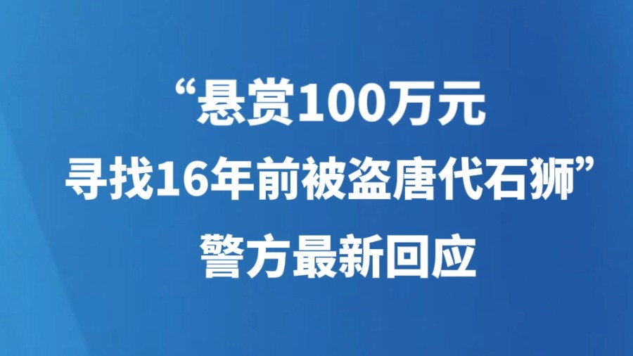 “悬赏100万元寻找16年前被盗唐代石狮”，警方最新回应