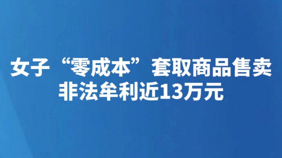 女子“零成本”套取商品售卖 非法牟利近13万元