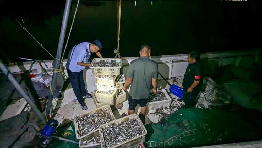 青岛开展海上夜查 查获一艘违规捕捞快艇