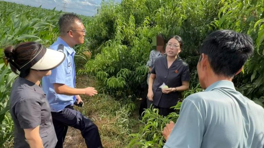 合阳县法院黑池法庭：柔性调解护农解忧
