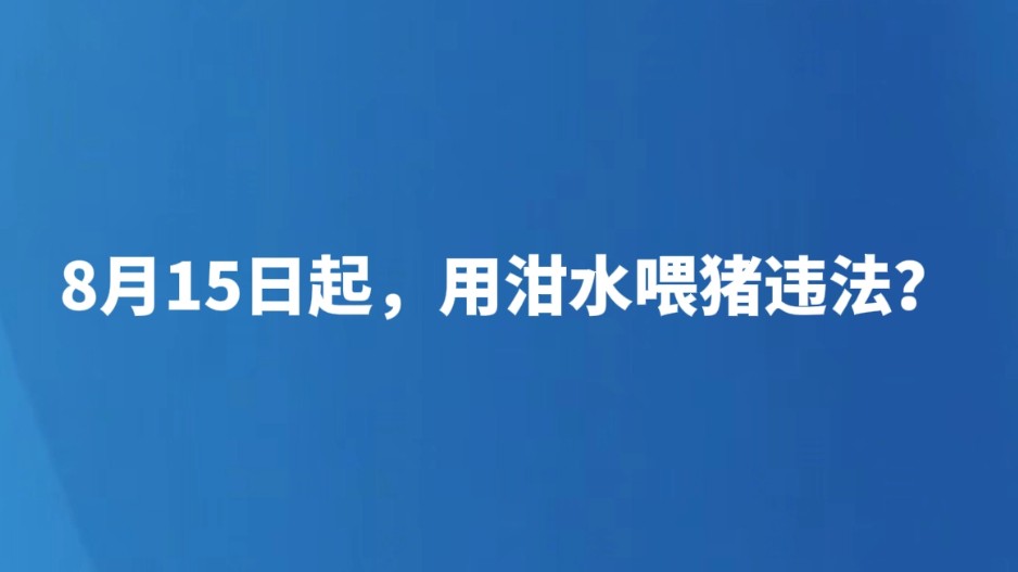 8月15起，用泔水喂猪违法？