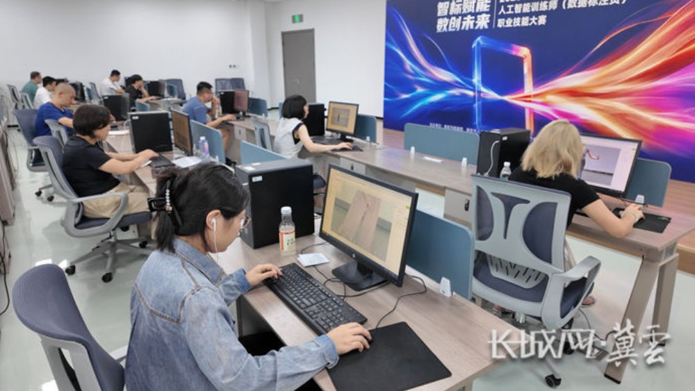 廊坊：以赛聚才 数智赋能