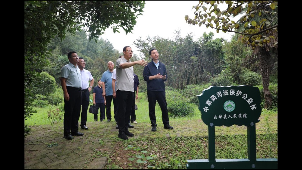 河南省高级人民法院调研组一行莅临西峡调研指导工作