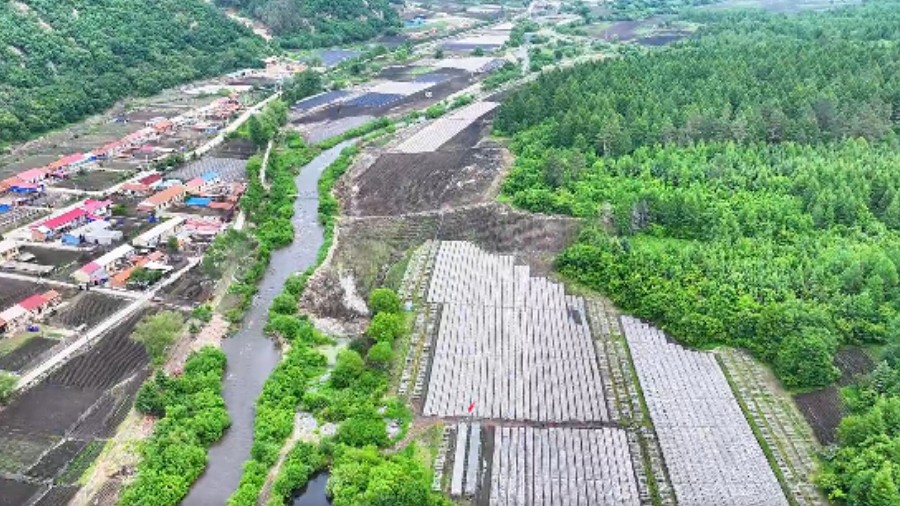 “四长联动”机制绘就生态治理新答卷