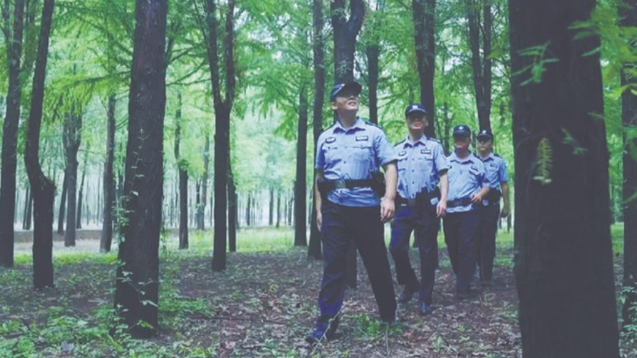 巡防黄河畔 实干护安澜