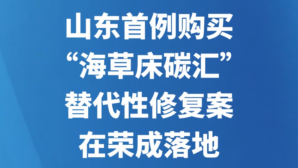 山东首例购买“海草床碳汇”替代性修复案在荣成落地