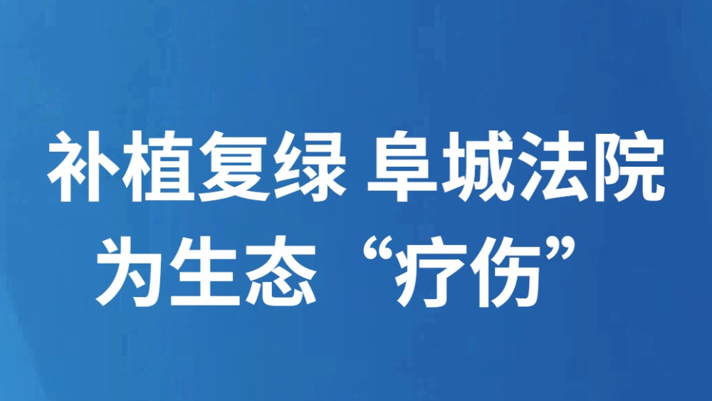 补植复绿 阜城法院为生态“疗伤”
