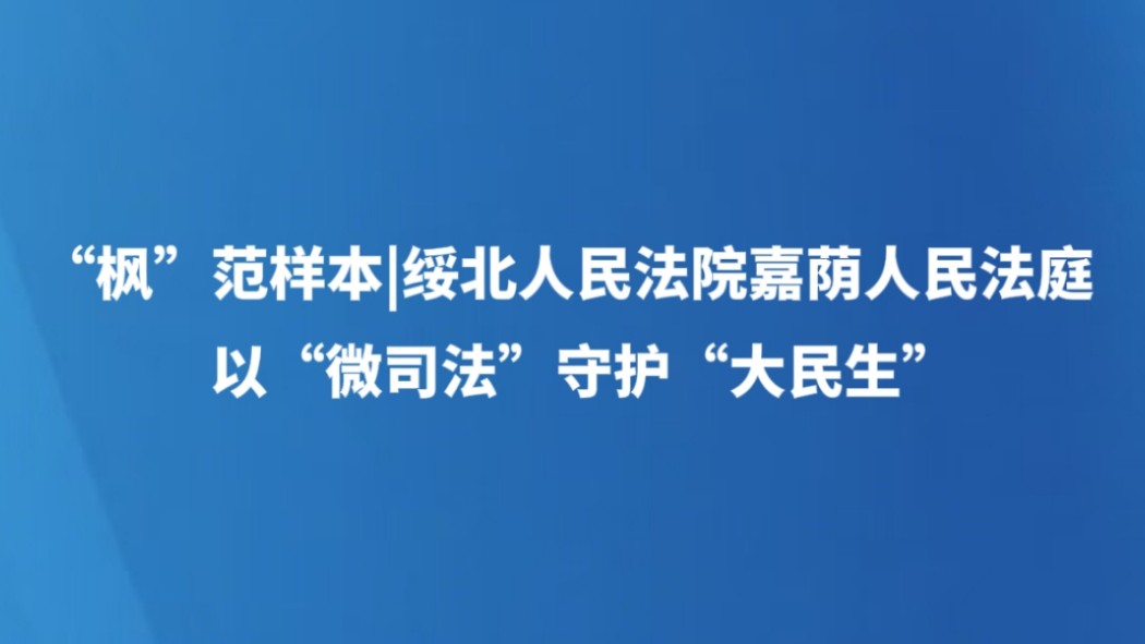 “枫”范样本|绥北人民法院嘉荫人民法庭