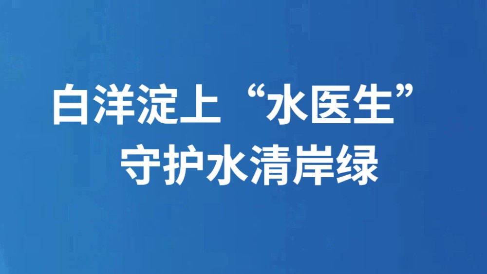白洋淀上“水医生” 守护水清岸绿