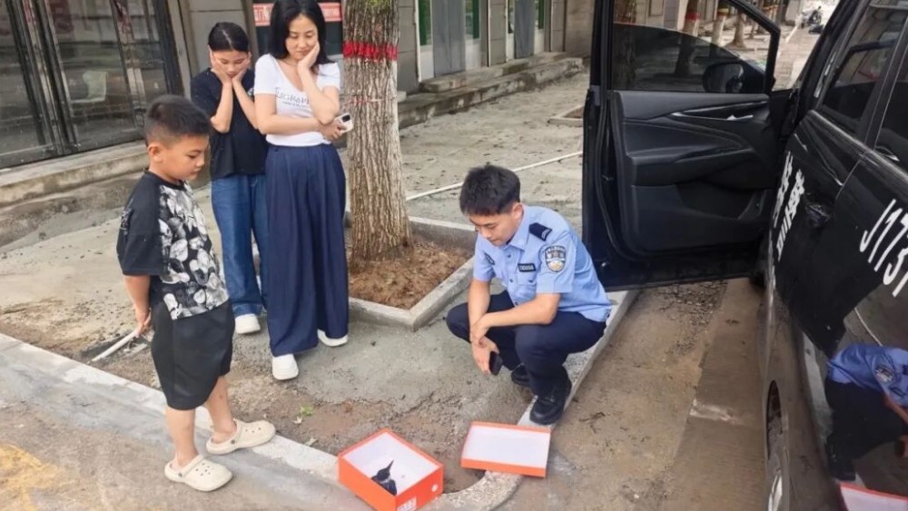 居民区救下“落难”蓝翡翠，黄龙警方暖心接力